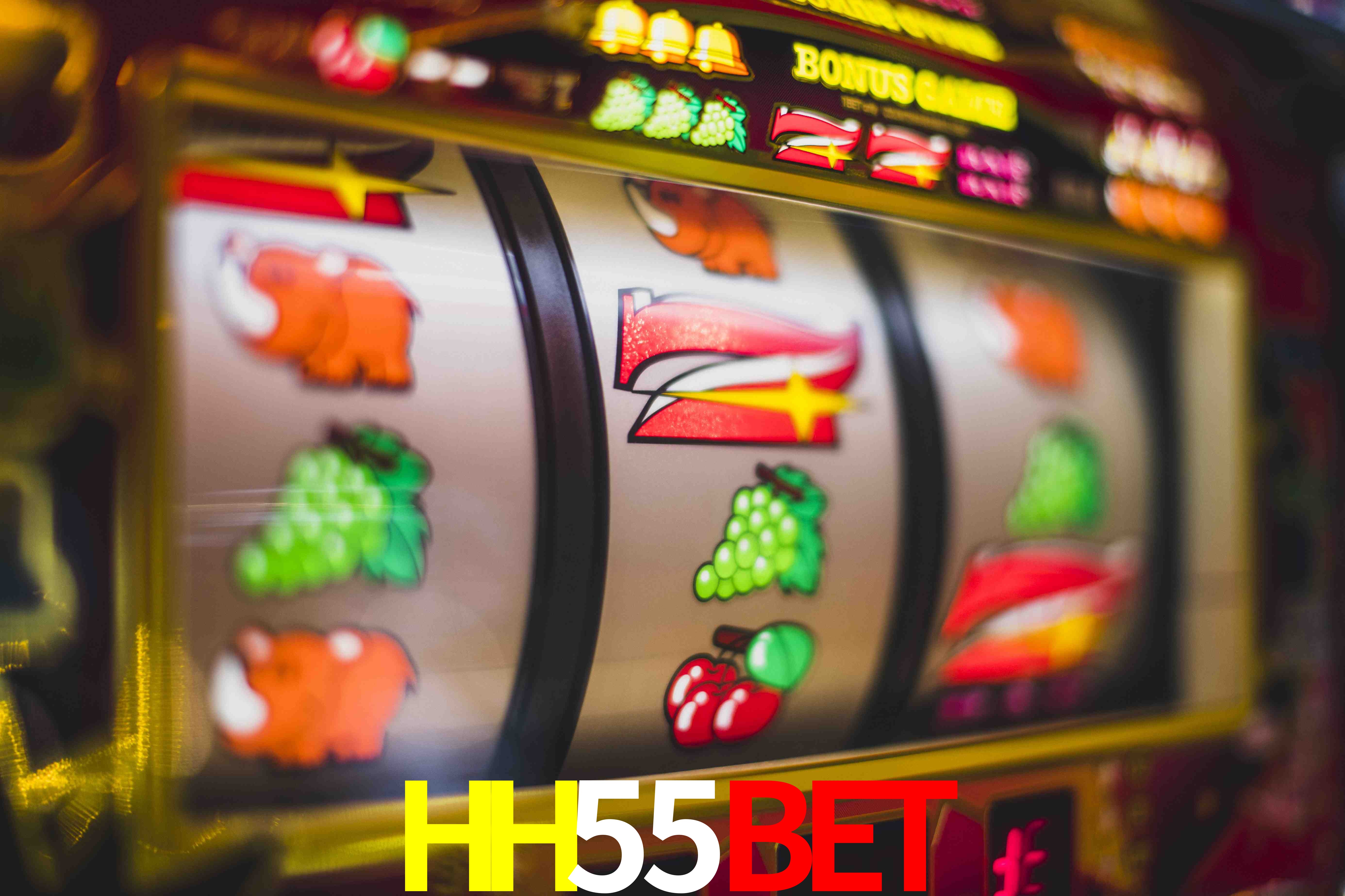 Statistics HH55Bet